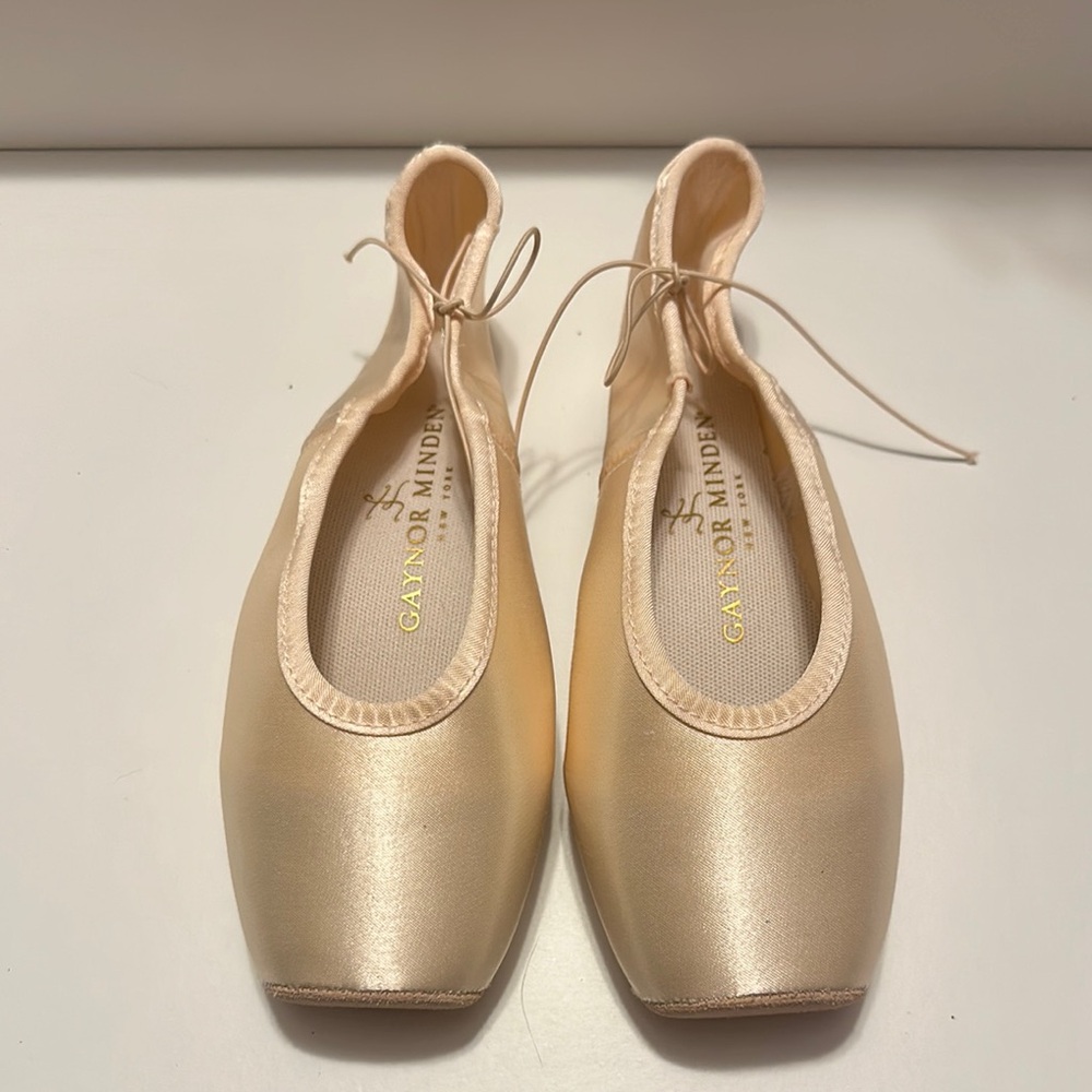 Gaynor Minden Pointe Shoes
